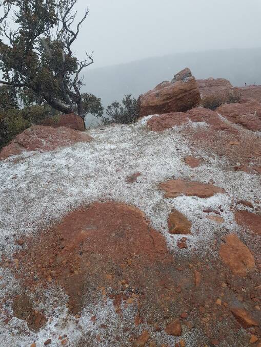 Brrrrr: Warrnambool's Van Bruggen family found a layer of thin snow on Mount William on Saturday afternoon. 