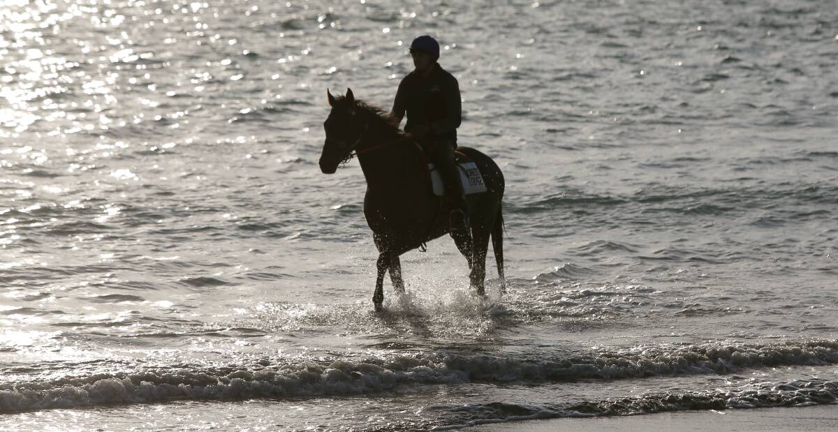 Troubled waters: Horses are expected to be banned from Killarney beach from the end of November, threatening the racing industry but pleasing opponents.