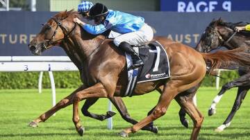 Redstone Well is tipped to win Race 5, the Yarraman Park Handicap over 2000m at Randwick. Picture Bradley Photos