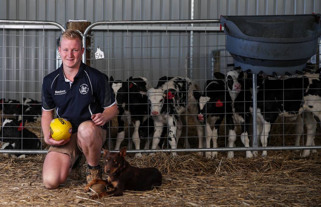 AT HOME: Allansford's Mitch Gristede on his family farm in Port Campbell with dog Millie. Picture: Morgan Hancock