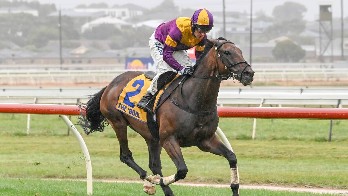 TEAM: Double Bluff will have Tom Ryan in the saddle on Saturday. Picture: Alice Miles/Racing Photos