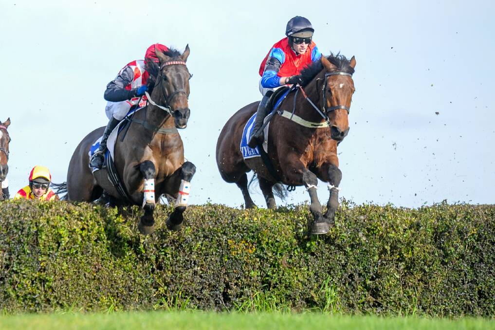UP AND OVER: Lee Horner, the husband of trainer Amy McDonald, will get the ride again on Shamal for the Thackeray Steeplechase. Picture: Brett Holburt/Racing Photos