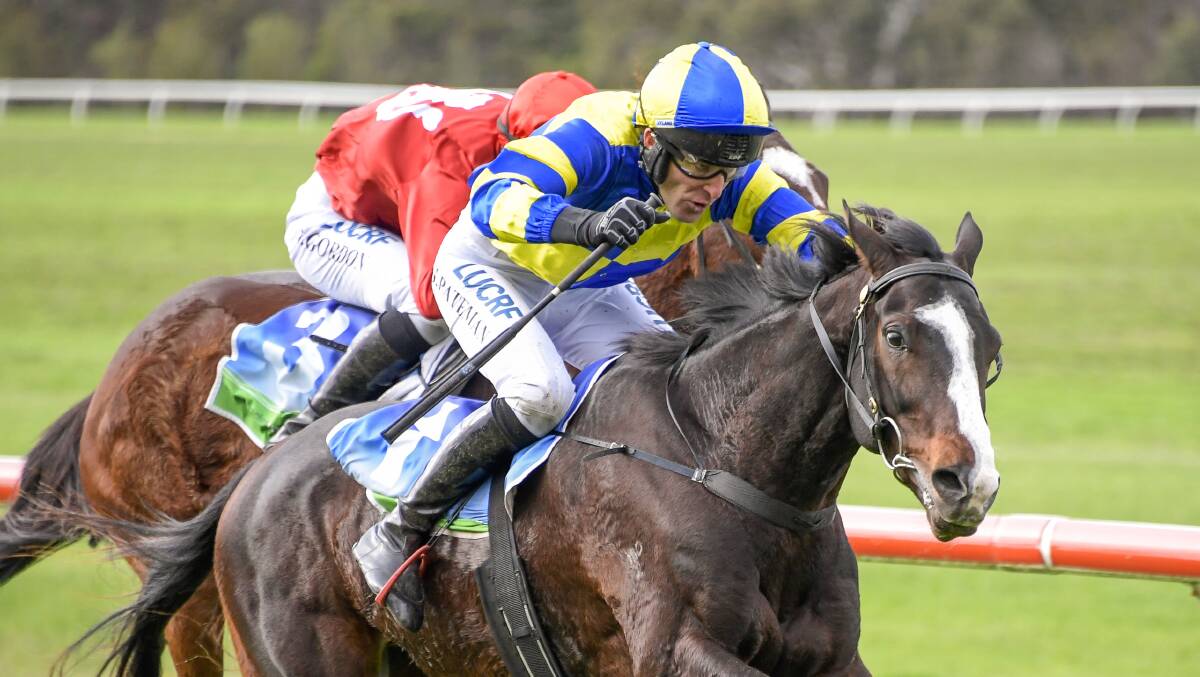 DECISIONS: Ciaron Maher and David Esutace will decide whether to run Euroman, ridden here by Steven Pateman at Casterton, in Warrnambool on Thursday. Picture: Reg Ryan/Racing Photos