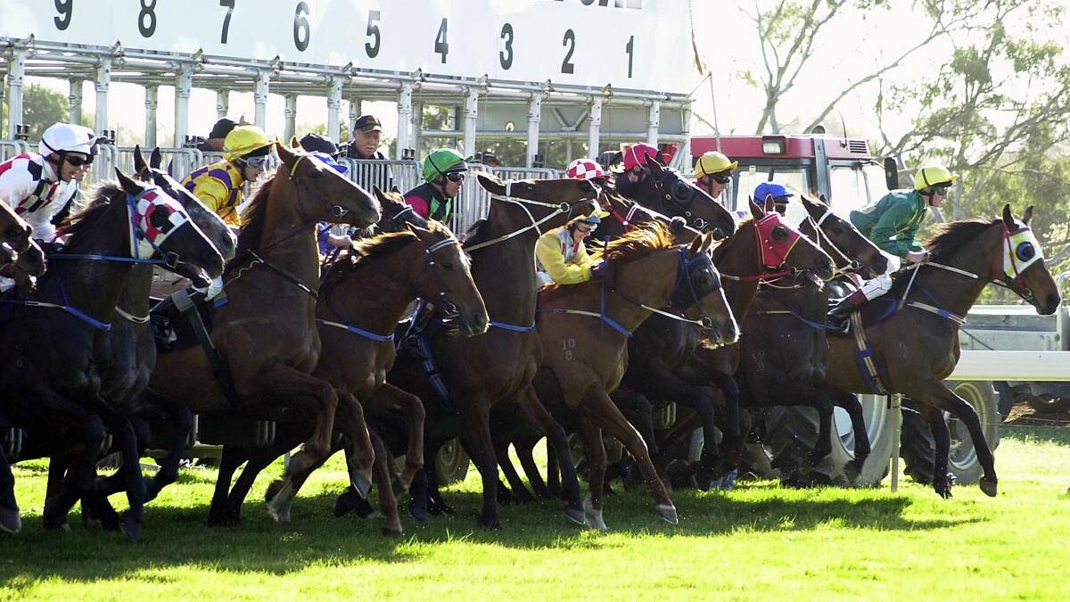 TACTICS: John Brooks is hoping a favourable barrier draw can help Jumbo Prince's Mortlake Cup chances. 