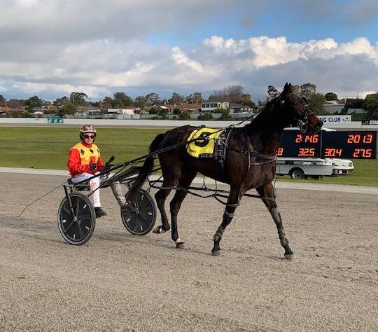 JOB DONE: Driver Jason Lee and Lavaughn after securing a win in race six. Picture: Stawell Harness Racing
