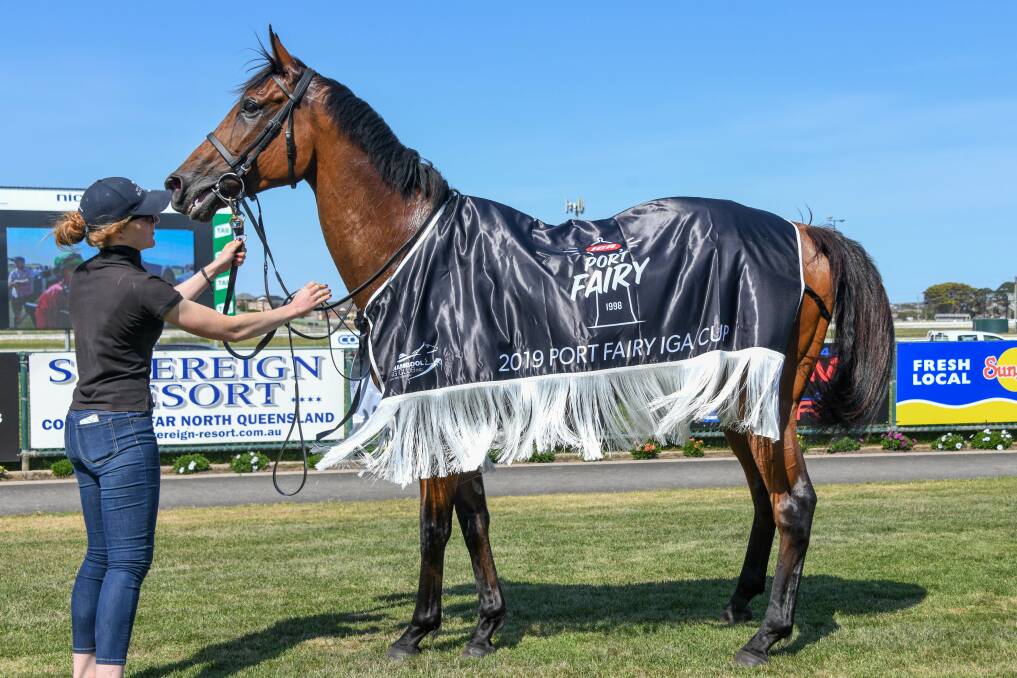 GOOD JOB: Salon Du Cheval after winning the Port Fairy IGA Cup Picture: Alice Laidlaw/Racing Photos