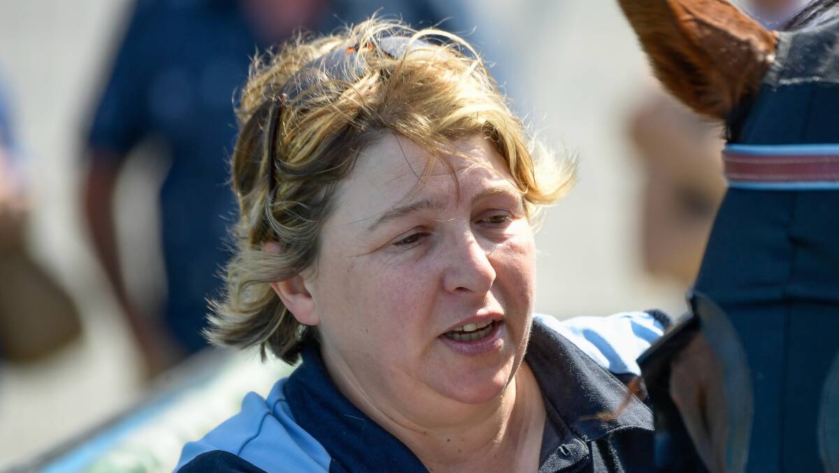 HISTORY: Jane Baker hopes niggling injuries are behind her lightly-raced galloper Timor Gold. Picture: Racing Photos/Reg Ryan