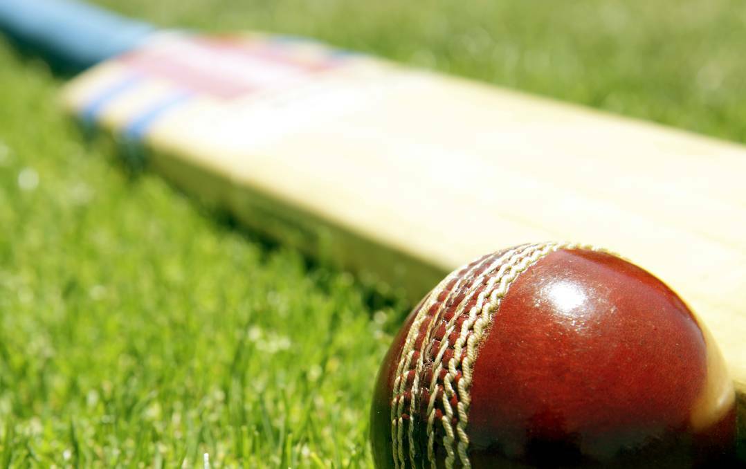 Knights pull up stumps in cricket association's top division