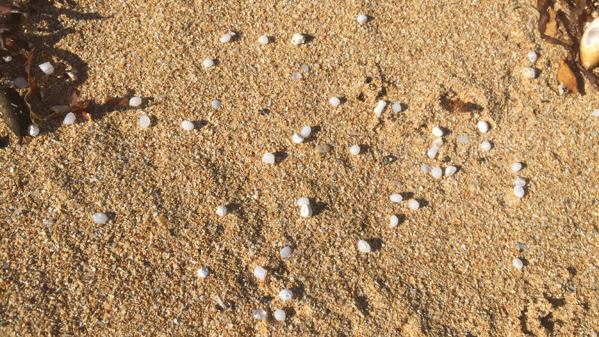 Thousands of these plastic beads have made it onto Warrnambool's Shelly Beach through the Warrnambool Sewage Treatment Plant.