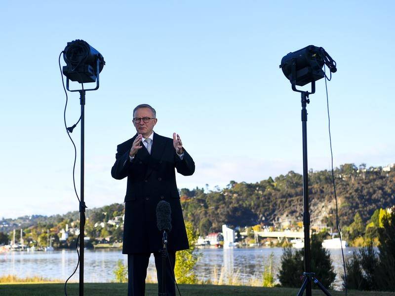 Anthony Albanese has stumbled over the national unemployment figure while campaigning in Tasmania.