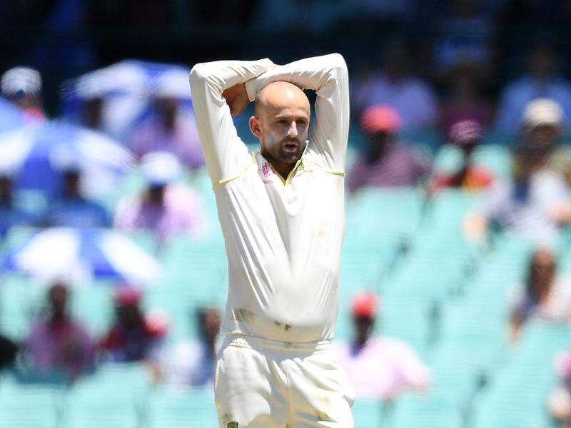 Nathan Lyon was the only Australian to make the ICC's Test or ODI teams of the year.