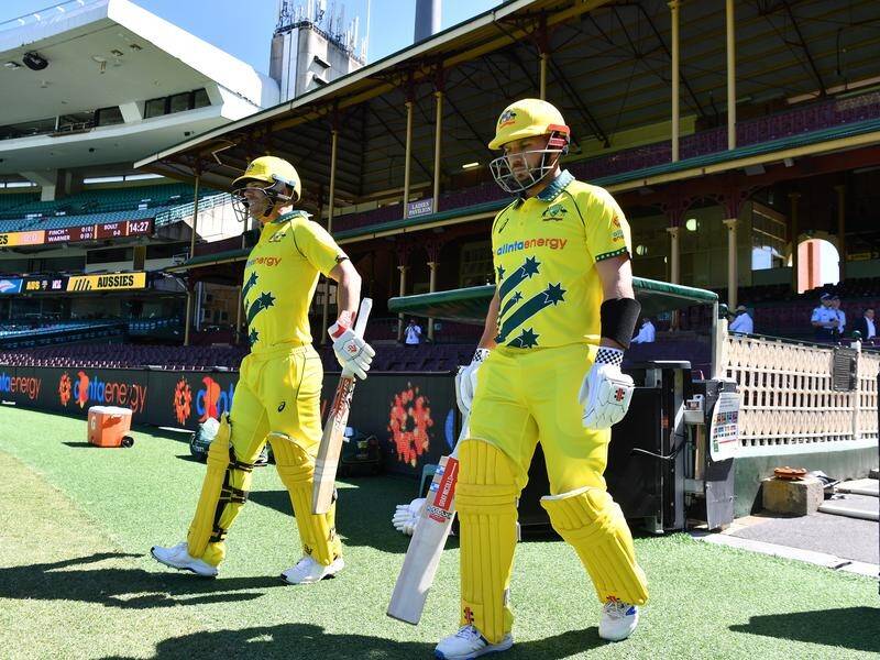 David Warner (l) and Aaron Finch have formed a formidable ODI opening pairing for Australia.