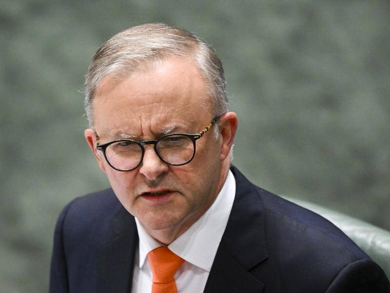 The opposition urged Anthony Albanese to reverse a decision to postpone a national cabinet meeting. (Lukas Coch/AAP PHOTOS)