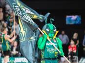 The NBL is hoping to have new Tasmania JackJumpers owners in place before the start of next season. (Linda Higginson/AAP PHOTOS)