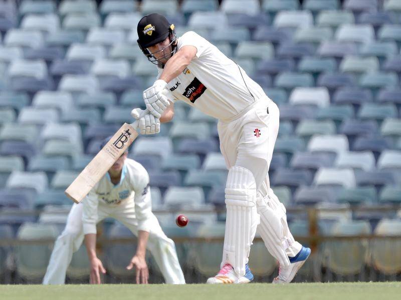 Hilton Cartwright's 78 helped WA to a comfortable start against NSW but it wasn't to last.