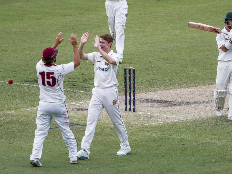 Queensland's Brendan Doggett celebrates taking the wicket of Tasmania centurion Matthew Wade.