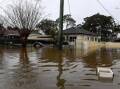 Properties in Windsor have been inundated by floodwater from the swollen Hawkesbury River.