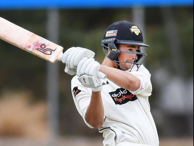 WA led by 364 runs at lunch on day three of their final-round Sheffield Shield clash with SA.