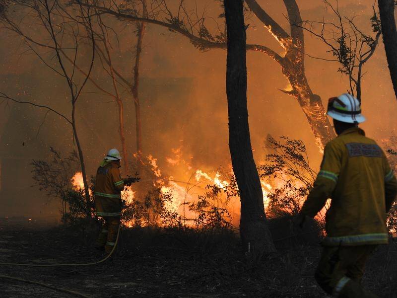 Those still trying to recover from the Black Summer bushfires have been allocated another $110m.