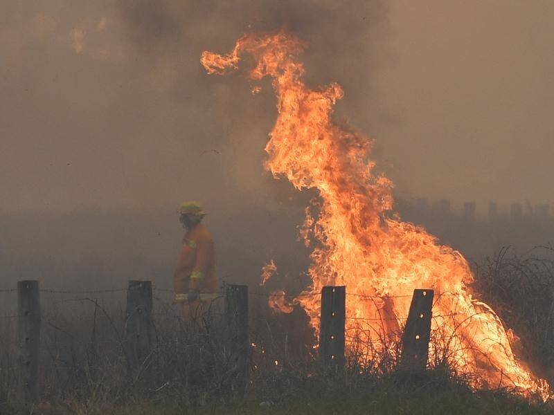 Labor will fund new ways to fight bushfires if it wins the federal election.