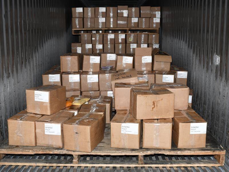Federal police have seized more than 550 kilograms of cocaine secreted in boxes of banana pulp.