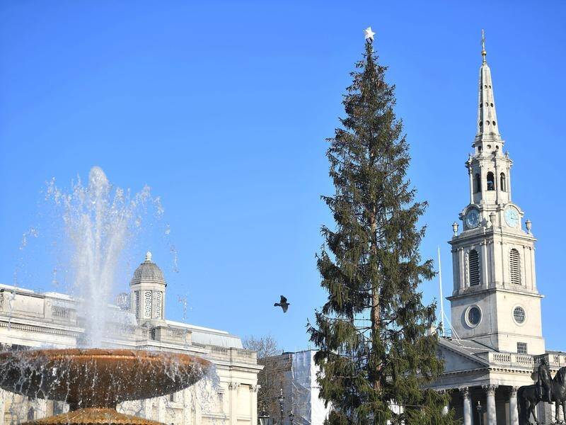 The Trafalgar Square tree, an annual gift from Norway, has been criticised for being too sparse.