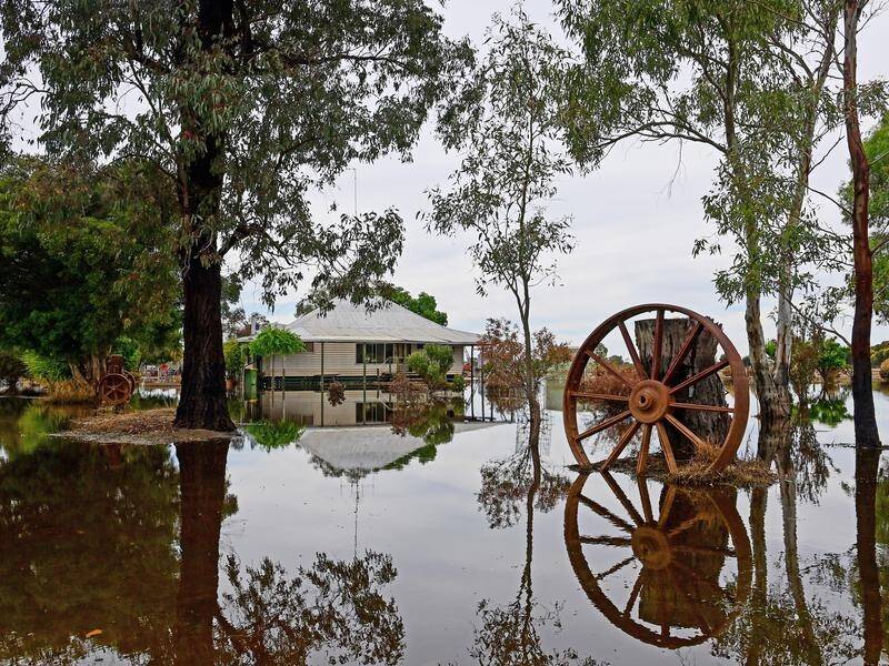 Farmers face a long, pot-holed road to recovery as they forge ahead with flood recovery efforts. (Brendan McCarthy/AAP PHOTOS)