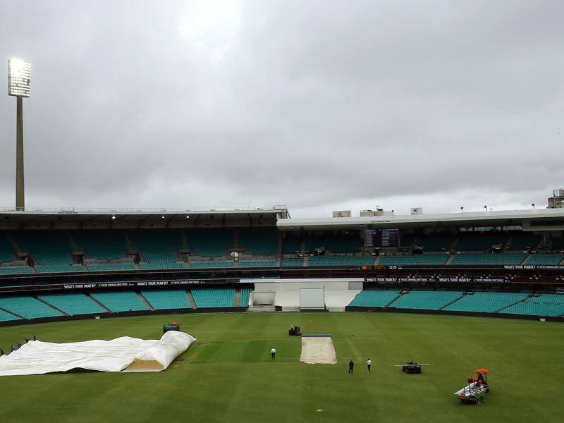 The argument for whether the SCG should have drop-in cricket pitches is becoming more divisive.