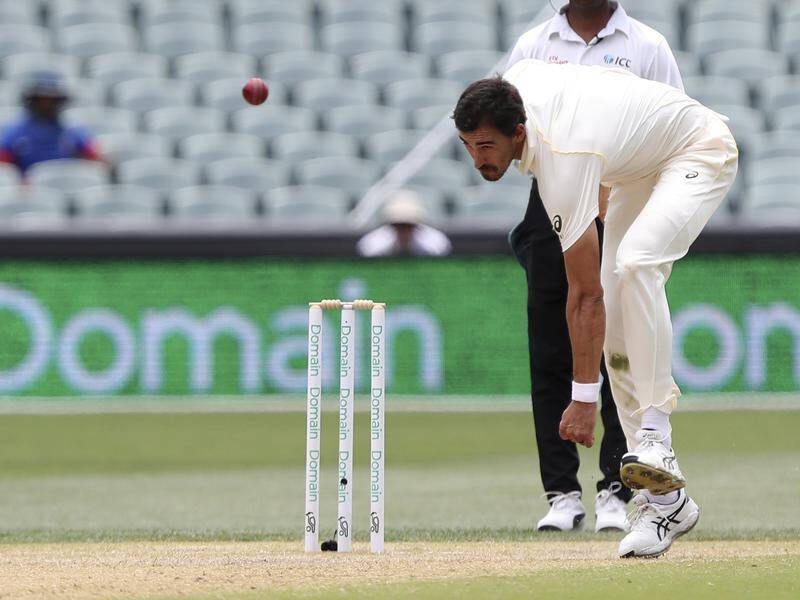 Former selector Mark Waugh says Mitchell Starc may be playing for his place in the Test side.