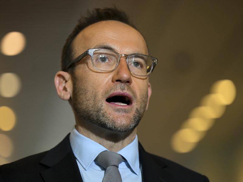 Greens leader Adam Bandt will attend the government's two-day jobs and skills summit in September. (Lukas Coch/AAP PHOTOS)