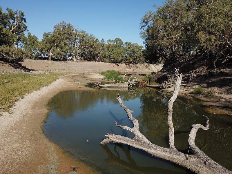 The Murray-Darling river system runs through four states and dozens of towns and cities. (Dean Lewins/AAP PHOTOS)