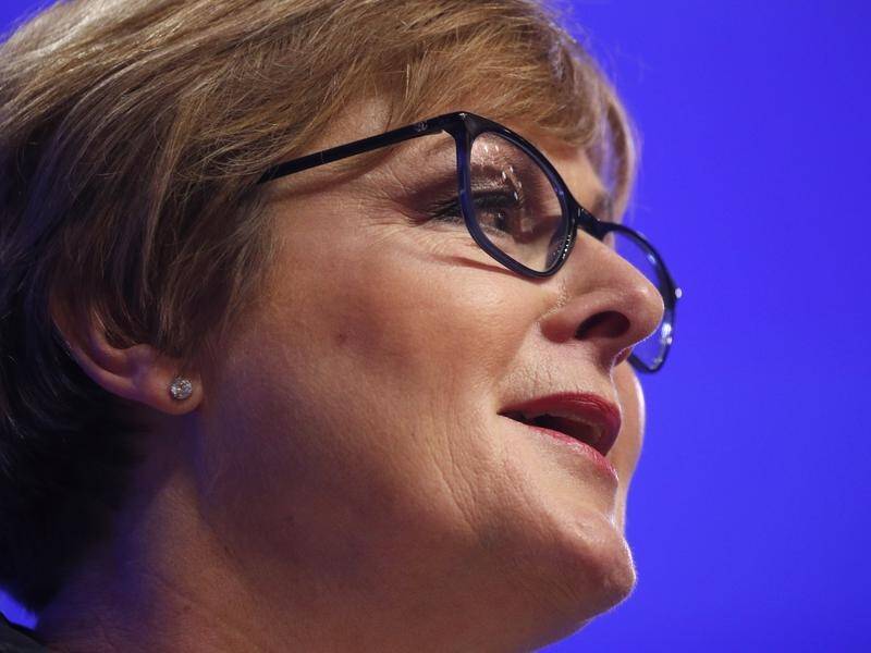 Defence Minister Linda Reynolds has raised concerns about the threat of malevolent cyber attacks.
