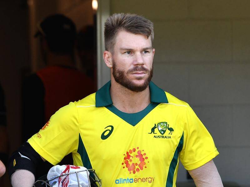 David Warner must open the batting for Australia at the World Cup, says two former Aussie openers.