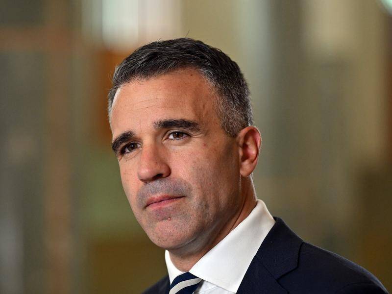 Peter Malinauskas has announced a review into a planned Indigenous culture and arts centre in SA. (Mick Tsikas/AAP PHOTOS)