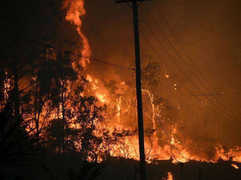 Bushfires continue to rage in NSW from the south coast all the way to the Queensland border.
