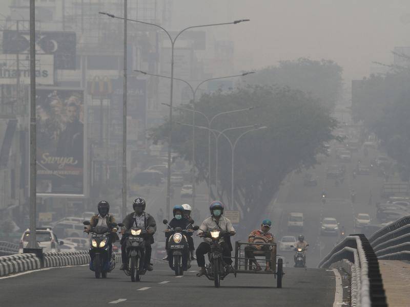 Indonesian police have arrested 185 people suspected of lighting forest fires.