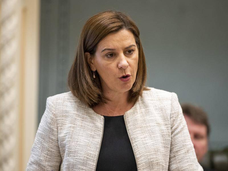 'The cycle of drug use and child abuse must be broken,' Queensland LNP leader Deb Frecklington says.