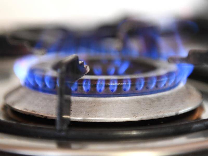Critics say gas creates few jobs and locks in high prices and isn't the way forward for Australia.