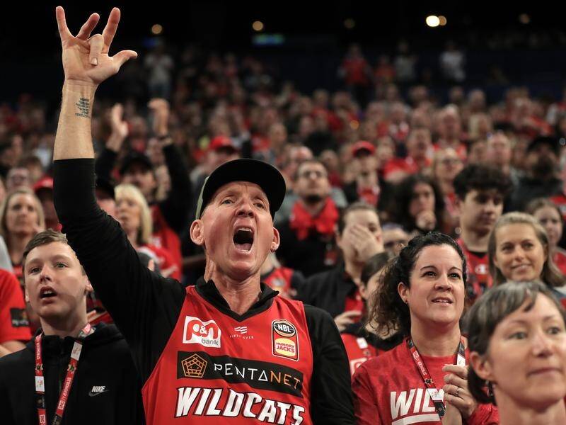 Perth Wildcats fans will be hoping the team's new head coach continues their record finals streak.