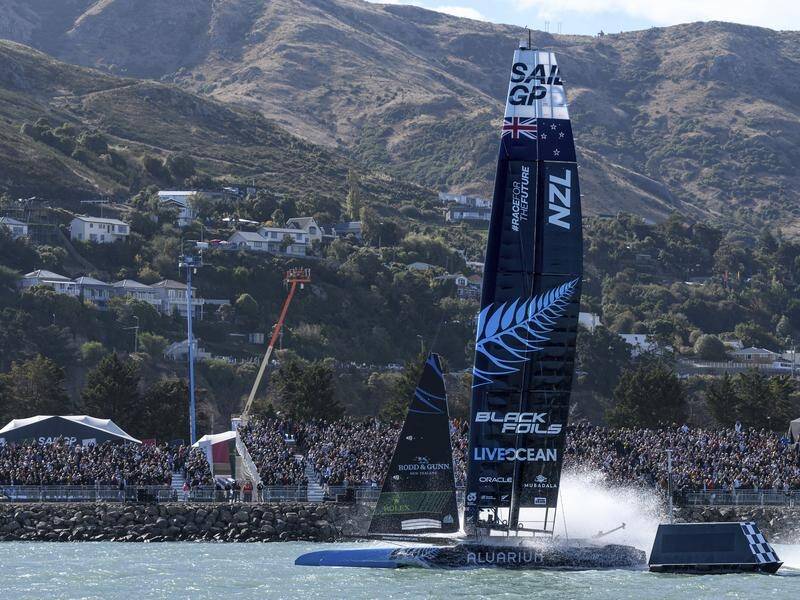 New Zealand's leg of the SailGP was cancelled on Saturday when a Hector's dolphin was spotted. (AP PHOTO)