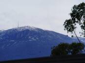 Eight people were rescued from Mt Wellington last Saturday after they became stranded.