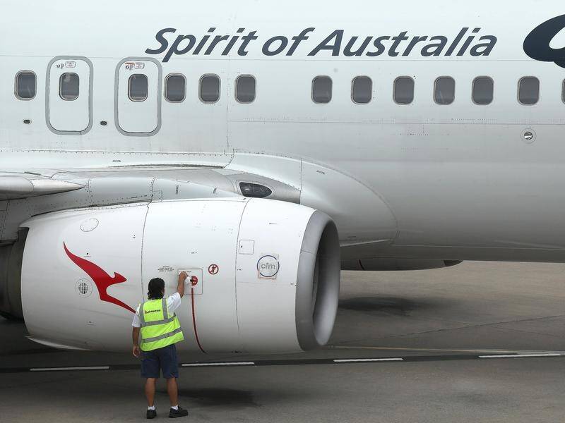 The federal treasurer will talk to Qantas about the carrier flying the Japan to Cairns route.