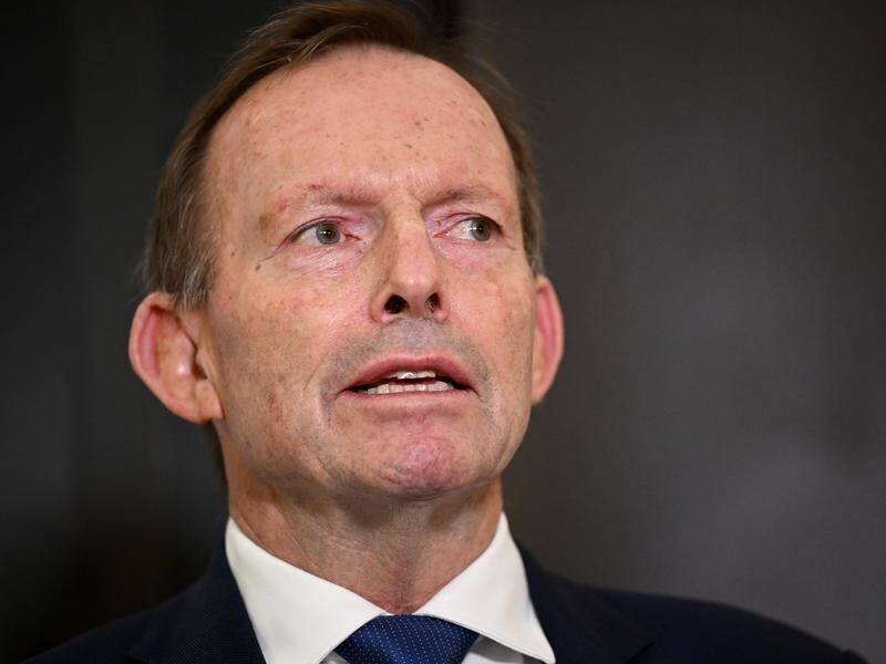 Former PM Tony Abbott says the voice will introduce a "power distinction based on ancestry". (Dan Himbrechts/AAP PHOTOS)