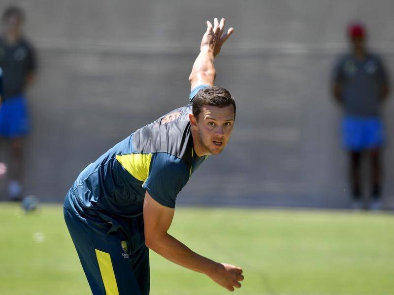 Paceman Josh Hazlewood has missed out on Australia's World Cup squad and will prepare for the Ashes.