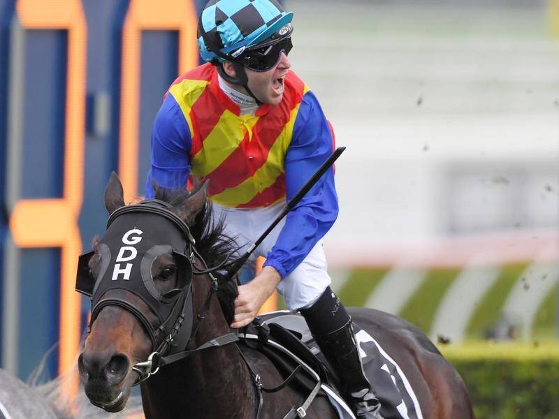 Pierata has shot to favouritism for the $14 million Everest after winning The Shorts at Randwick.