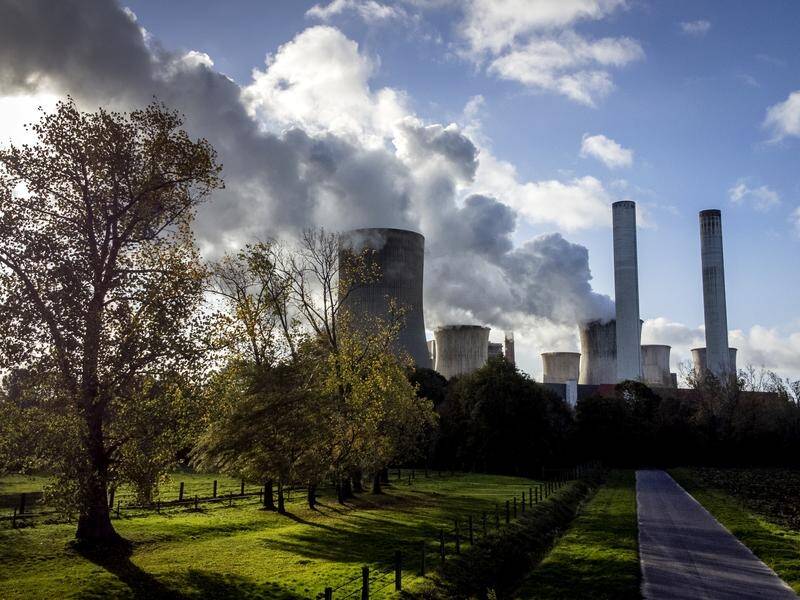 Germany will shut seven coal-fired power plants permanently. (AP PHOTO)