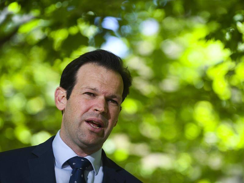 Matt Canavan says there is the potential for thousands of jobs digging up rare earth and minerals.