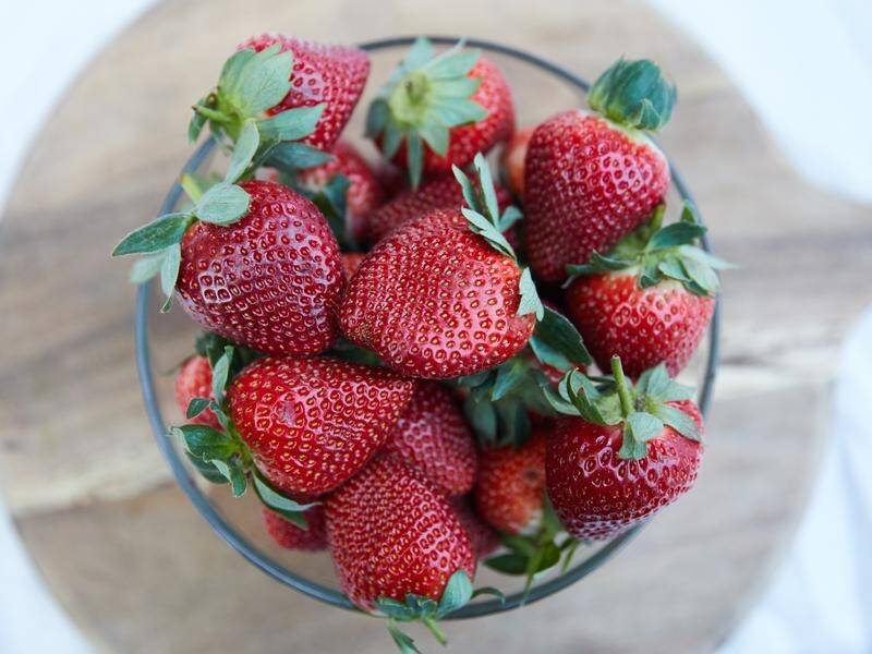 Needles have been found in Australian strawberries being sold at a New Zealand supermarket.