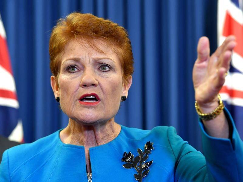 One Nation leader Pauline Hanson says her party will preference Labor over moderate Liberal MPs.