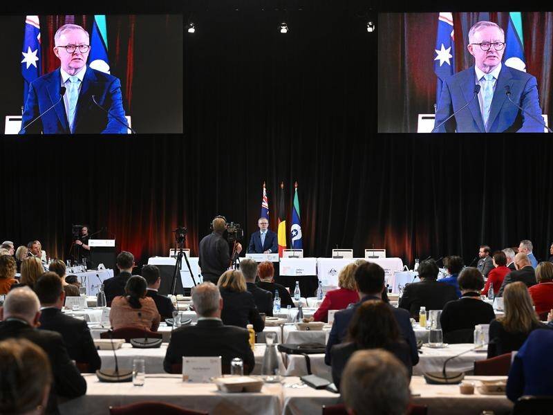 The government says a list of "concrete steps" has been produced by the jobs and skills summit. (Mick Tsikas/AAP PHOTOS)